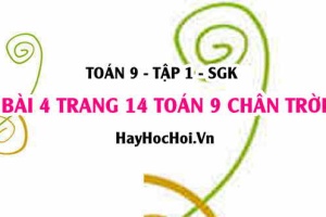 Bài 4 trang 14 Toán 9 tập 1 Chân trời sáng tạo SGK